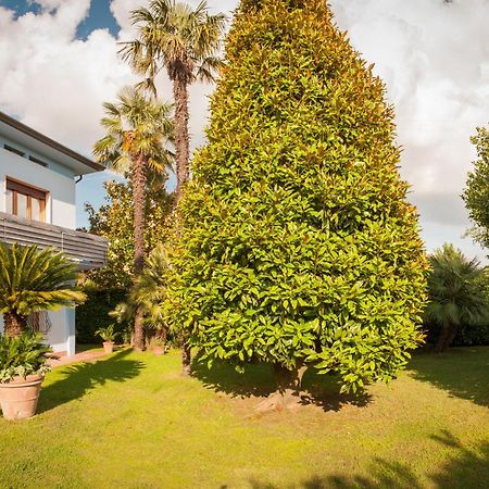 Villa Celeste Lucques Extérieur photo
