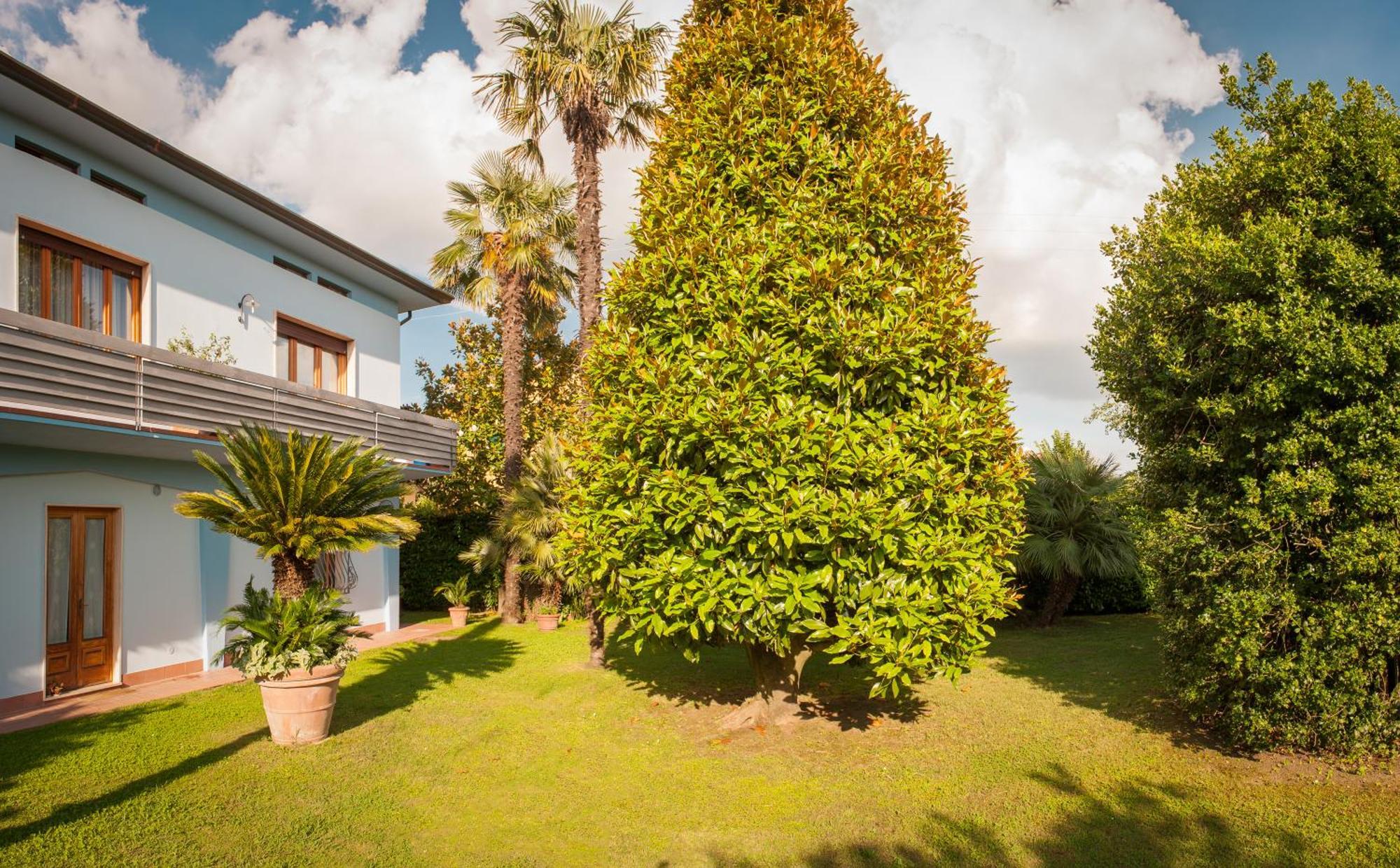 Villa Celeste Lucques Extérieur photo